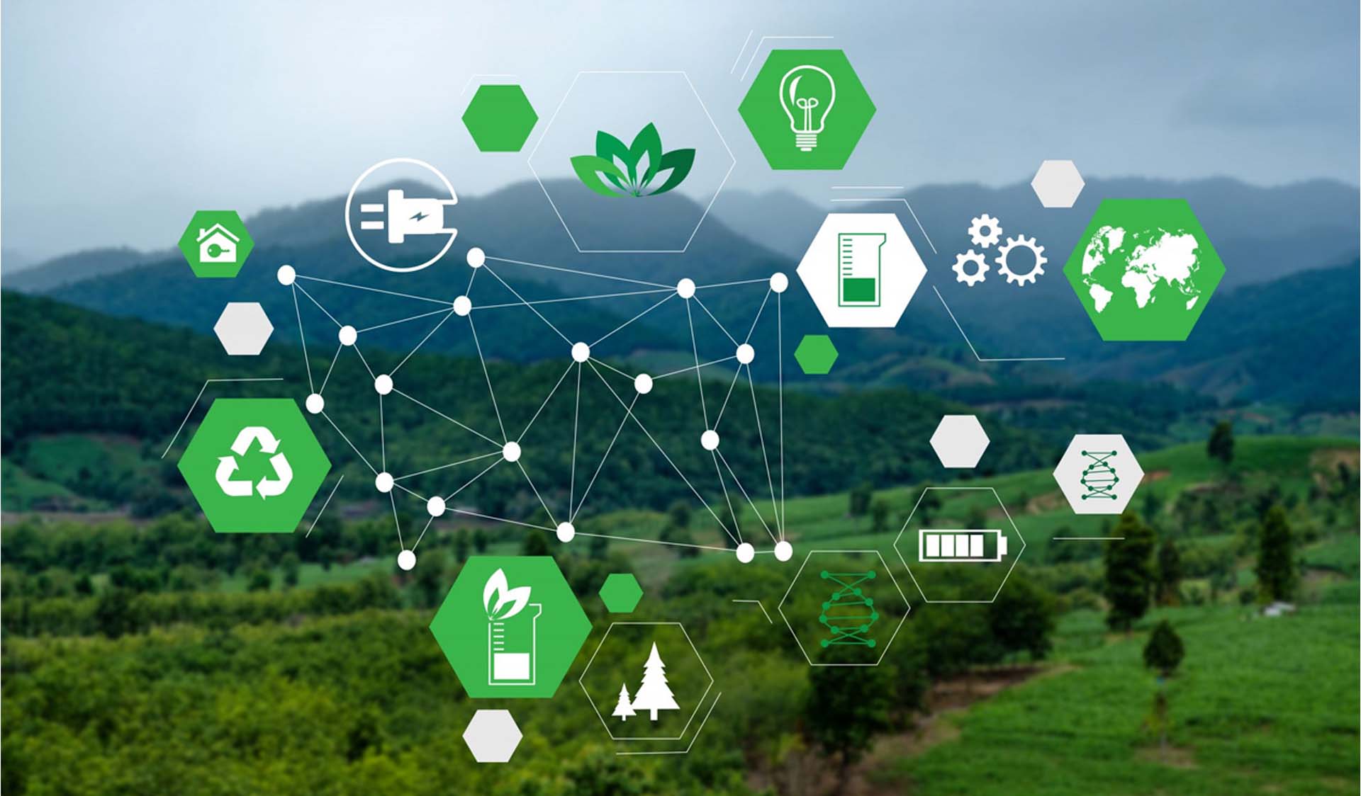 Green & Electric Solutions